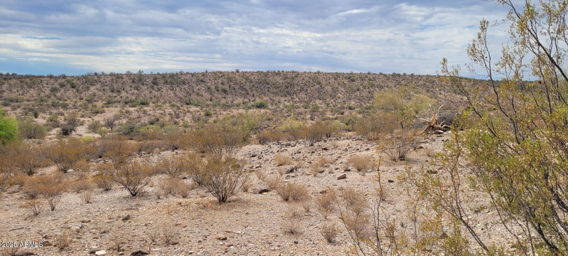 4375 S BLACK MOUNTAIN Road 11