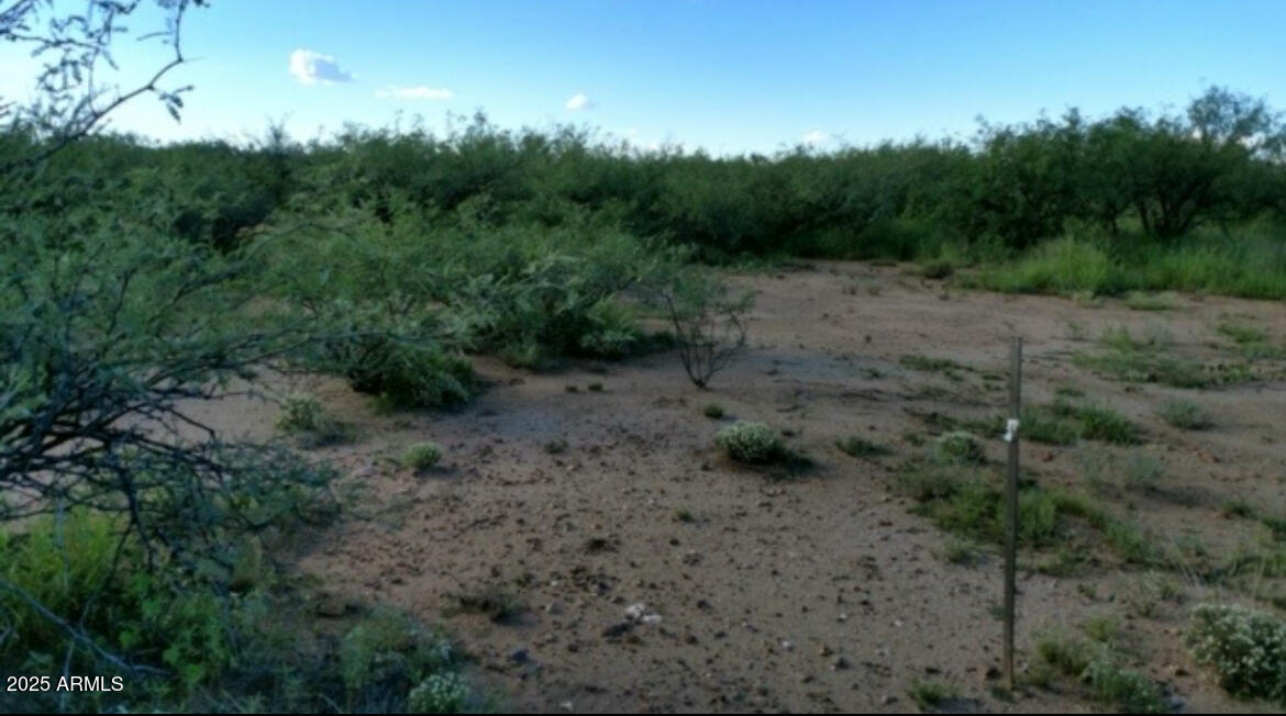 Greater San Padro Ranches. - Land