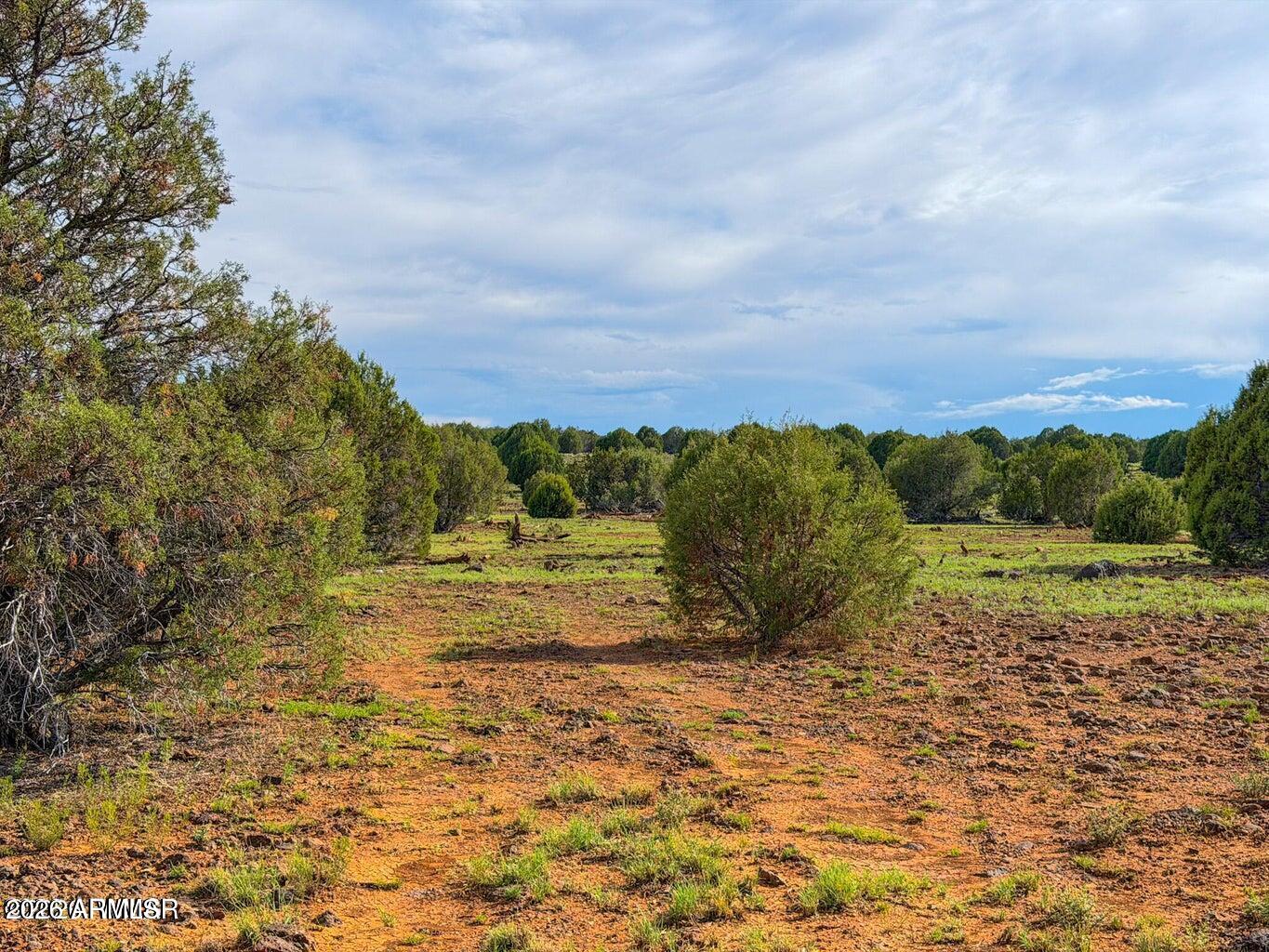 8063 Mustang Ln 10 Acres -- -