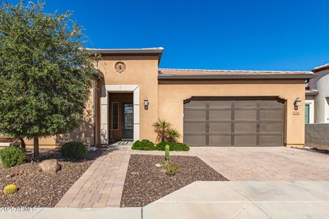 724 E SNOWY FARM Drive Queen Creek AZ 85140