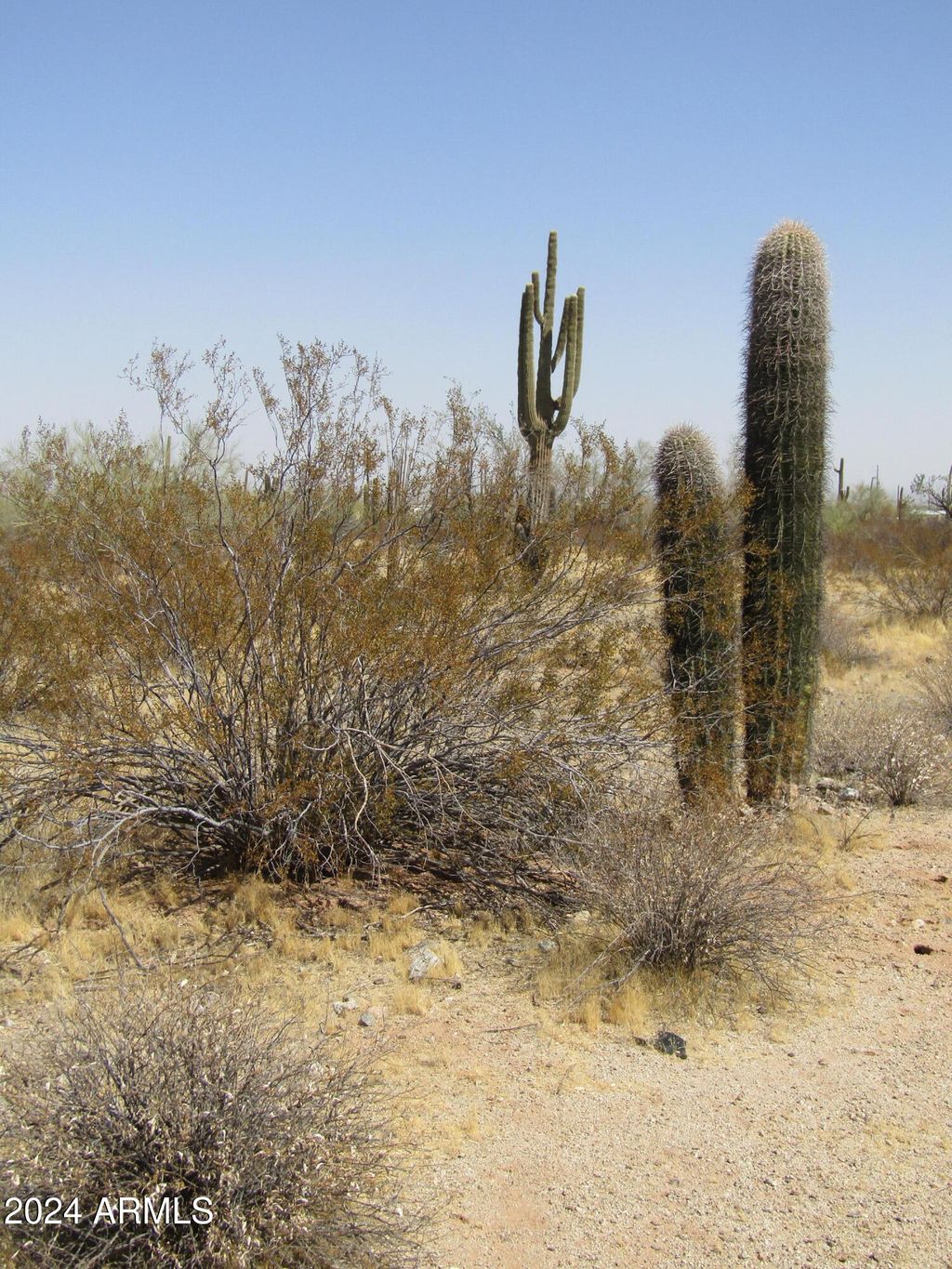 Photo of 0 W Momoli Road #24, Maricopa, AZ 85139 (MLS # 6879216)