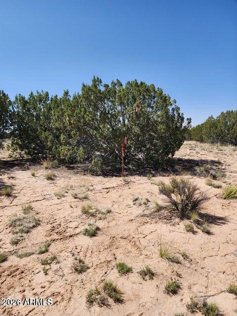 000 N TBD Drive 180-A