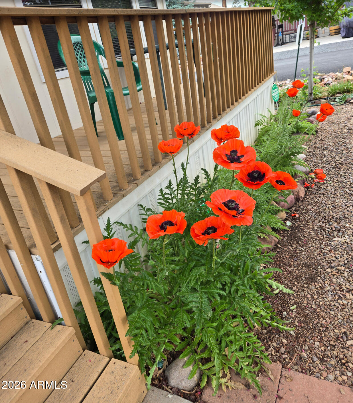 2261 Hanging Tree Lane