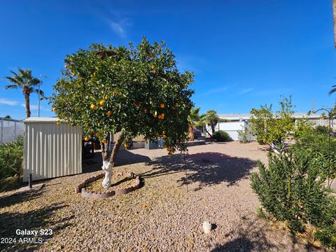 A home in Apache Junction