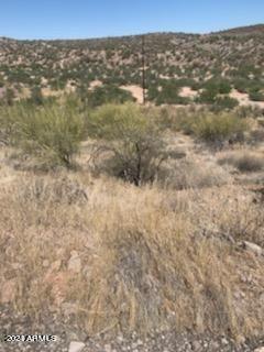 0 Mountain Side Loop 12