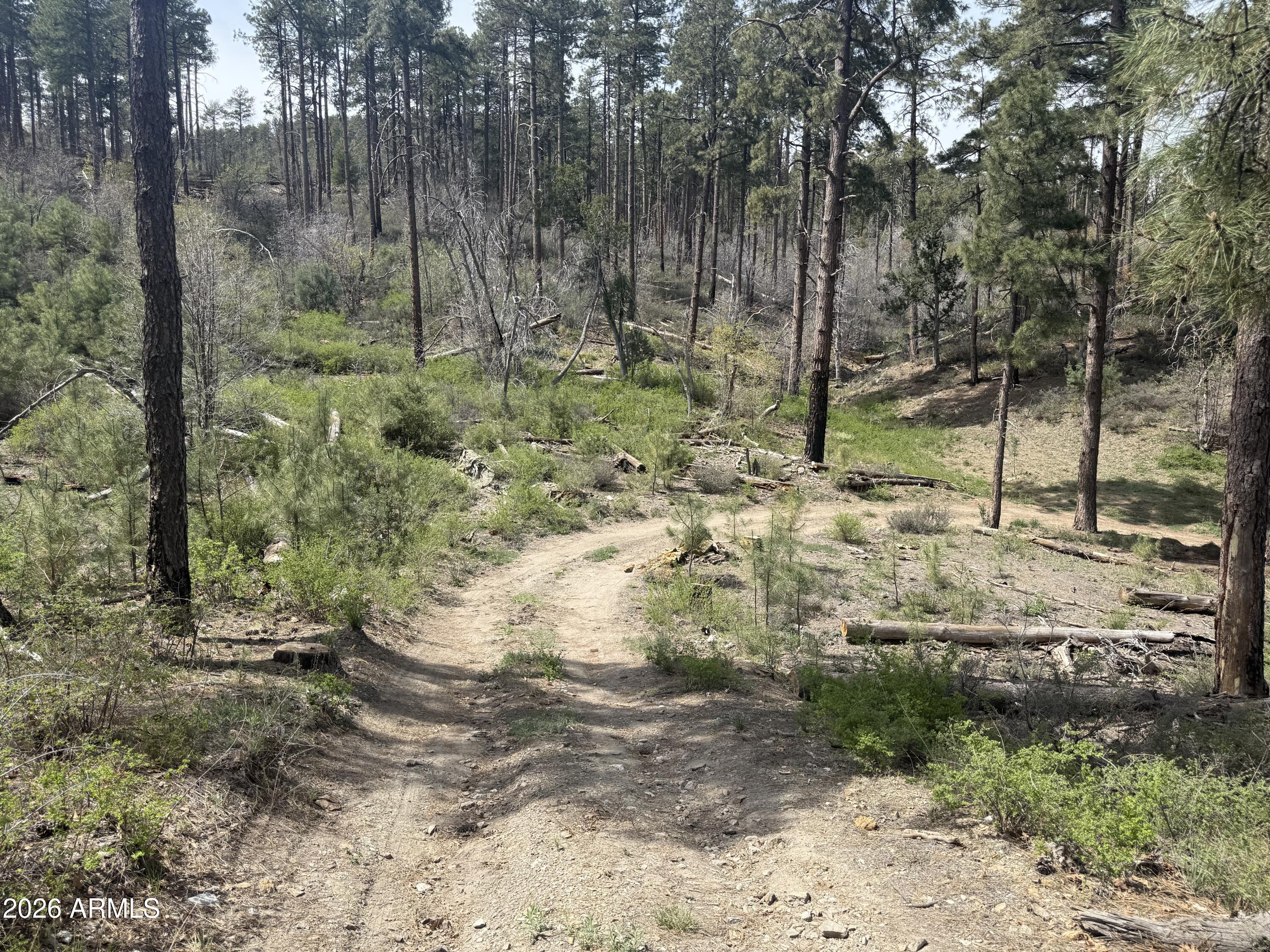 00 E WILD FLOWER Road -