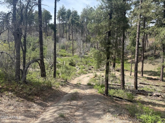 ADDRESS PRIVATE, CROWN KING, AZ 86343 - Image eddb819ee1fd0bea86a749c0aaaccefa/3982133289