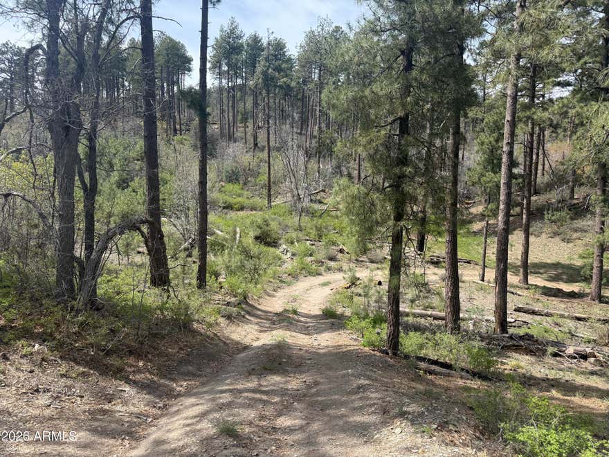 Build your own custom Crown King cabin on this off-grid parcel nestled high above Crown King at 7,000 feet elevation. This land is surrounded by tall ponderosa pines and borders Prescott National Forest. Property is complete with driveway and small building pad. 4x4 access only, limited winter access. Neighboring off-grid cabin on 10.34 acres also available! Sale includes 2 assessor numbers, 204-04-060 and 204-04-063.