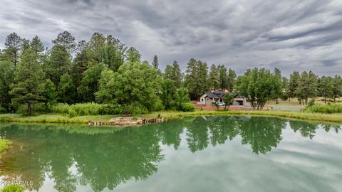 A home in Show Low