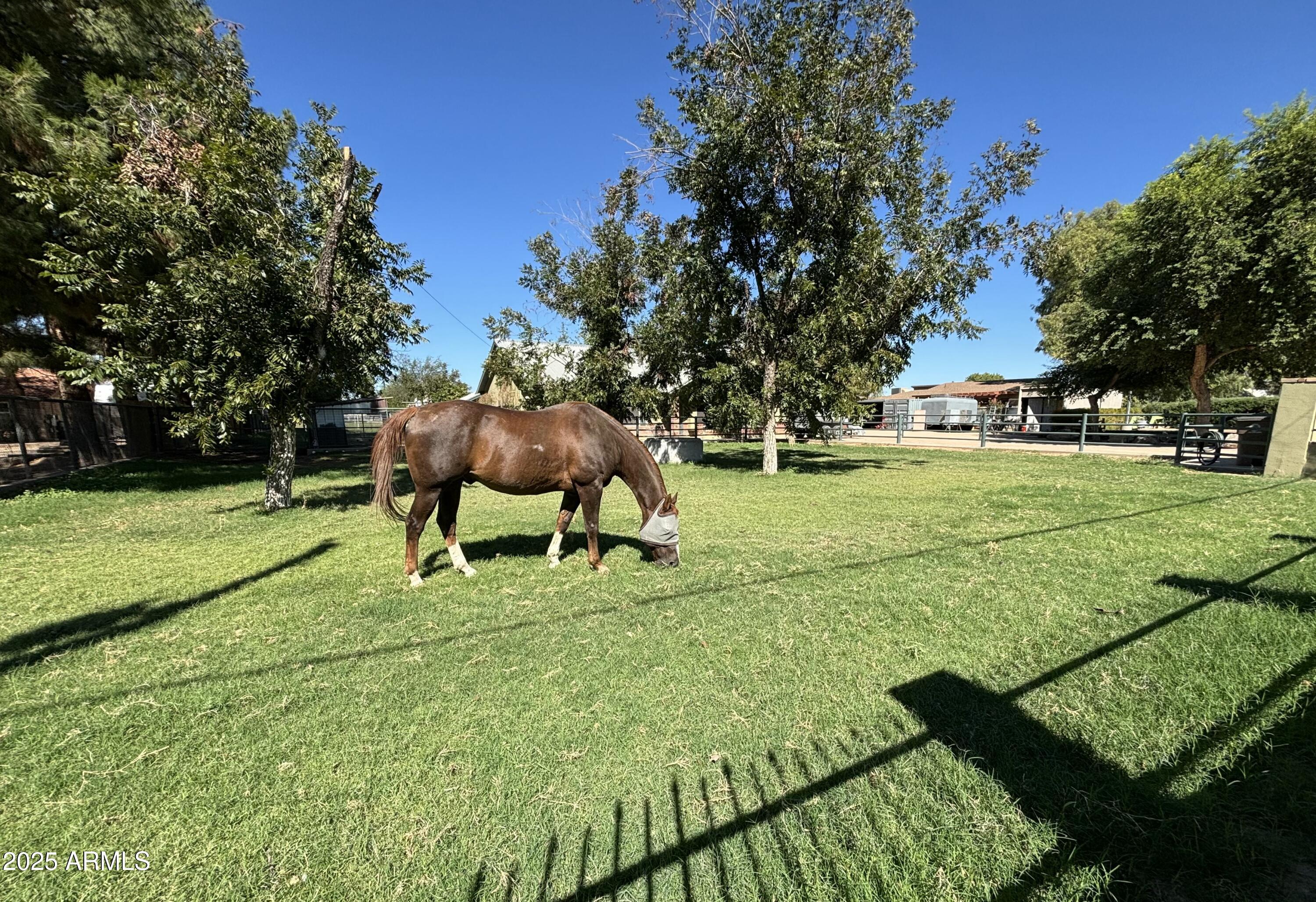 Homes for Sale in Queen Creek Arizona 1 18950 E VIA DE PALMAS --