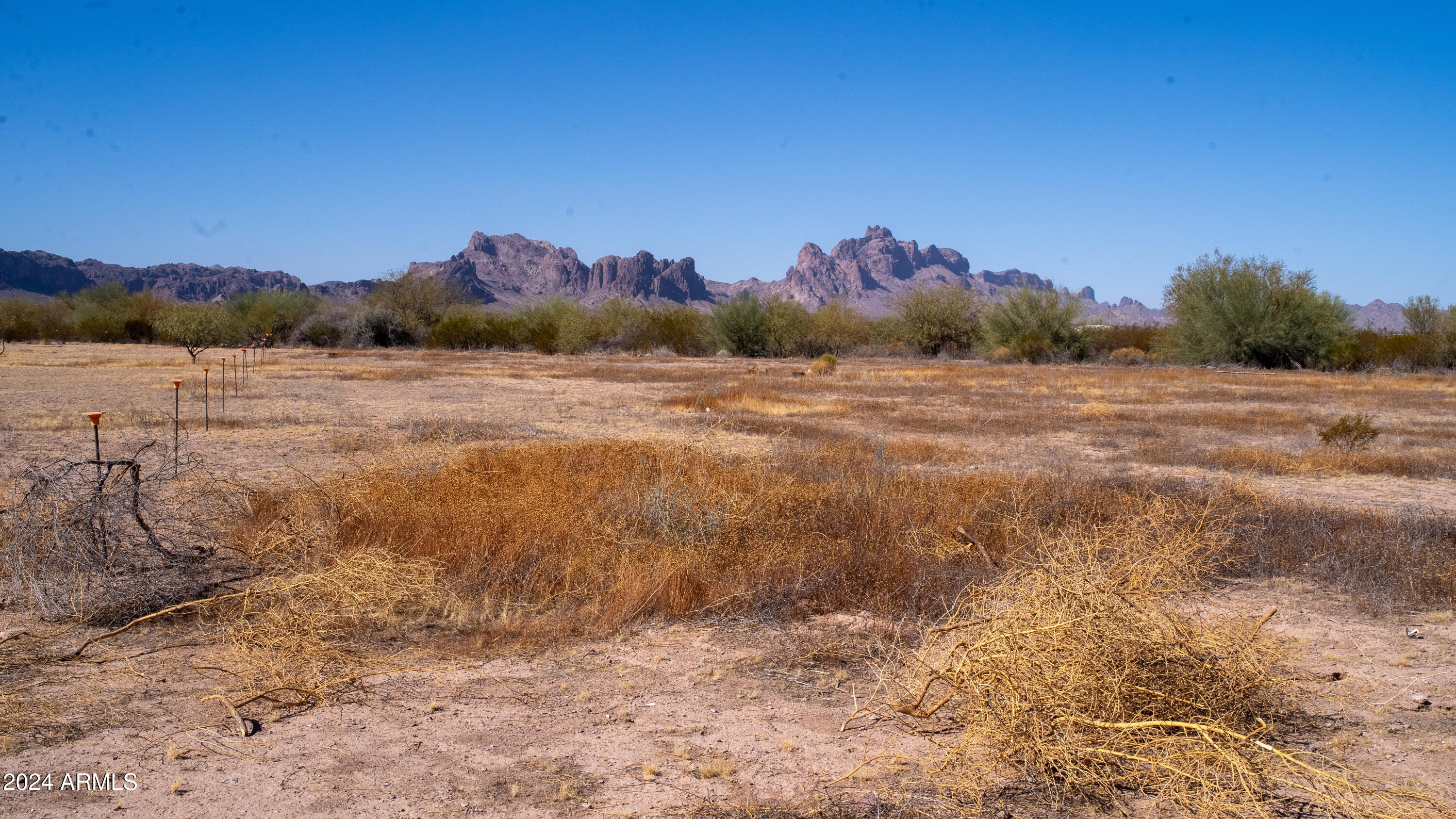 7770 S 543rd Avenue 236