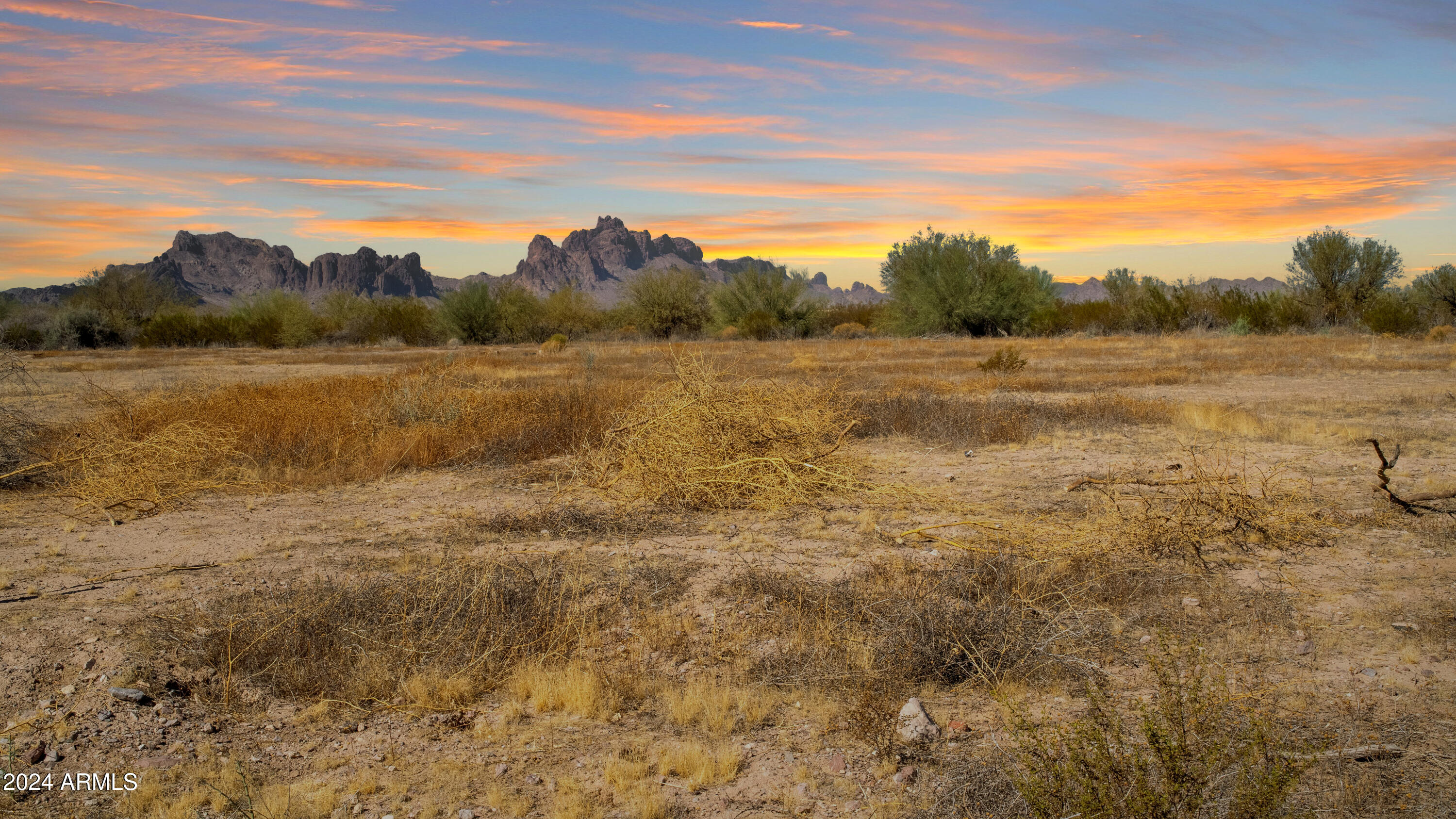 7770 S 543rd Avenue 236