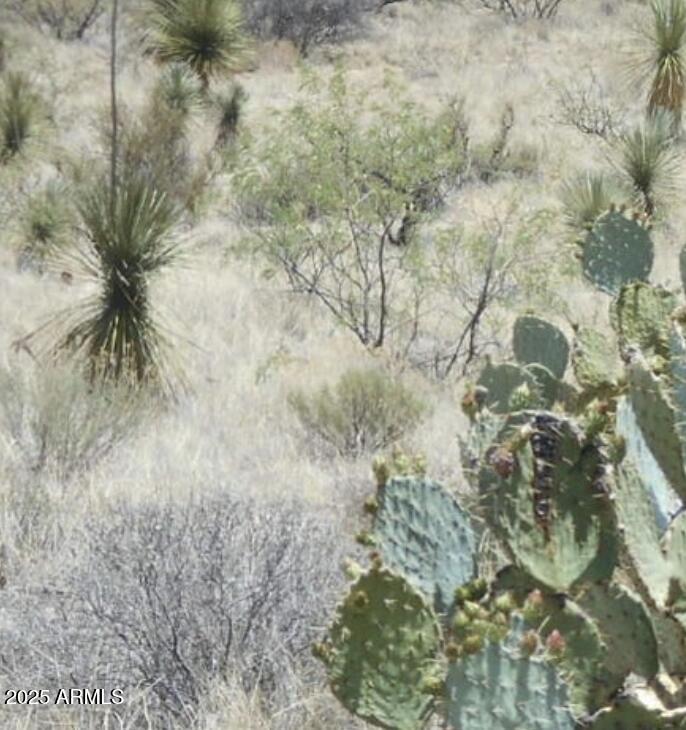 TEXAS CANYON RANCH - Land