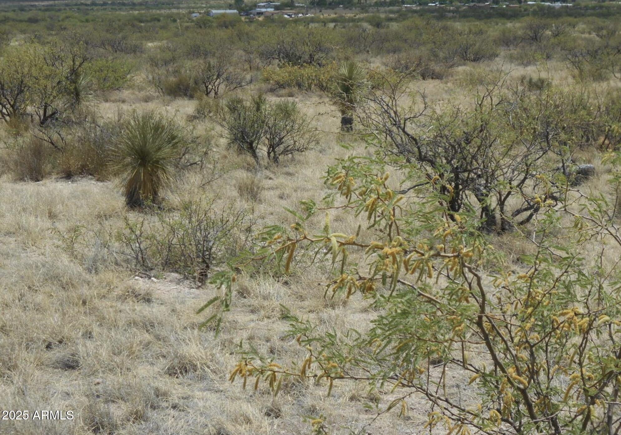 TBD E Little Wing Road 6