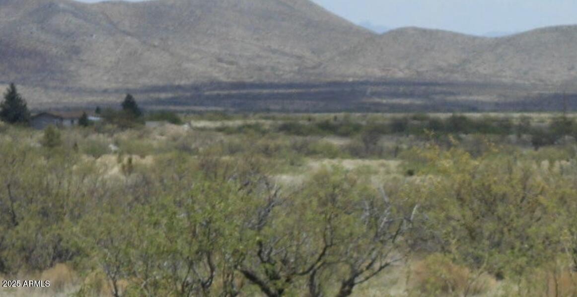 TBD E Little Wing Road 6