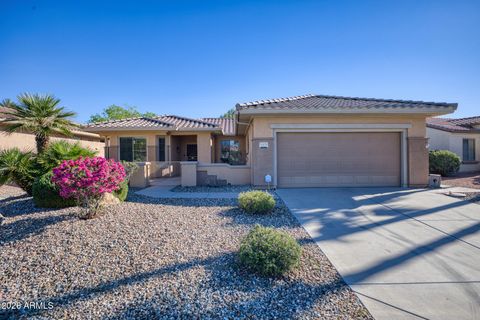 16838 W DESERT BLOSSOM Way Surprise AZ 85387
