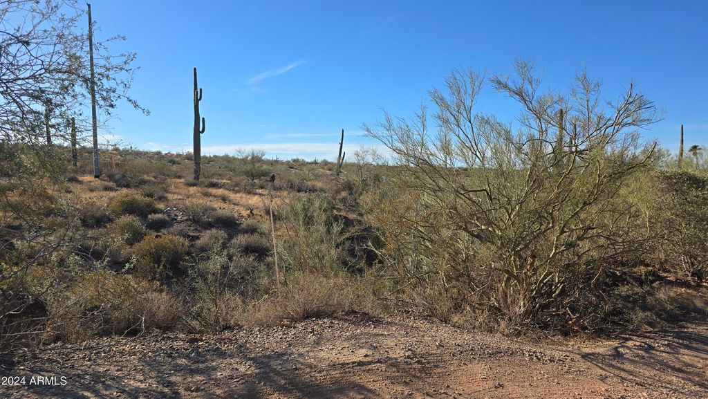 Photo of 459 N 38th Avenue #-, New River, AZ 85087 (MLS # 6797186)