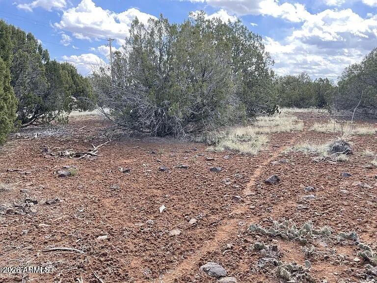 1879 TURKEY FLAT Place 17