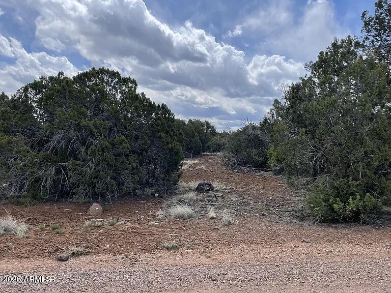 1879 TURKEY FLAT Place 17