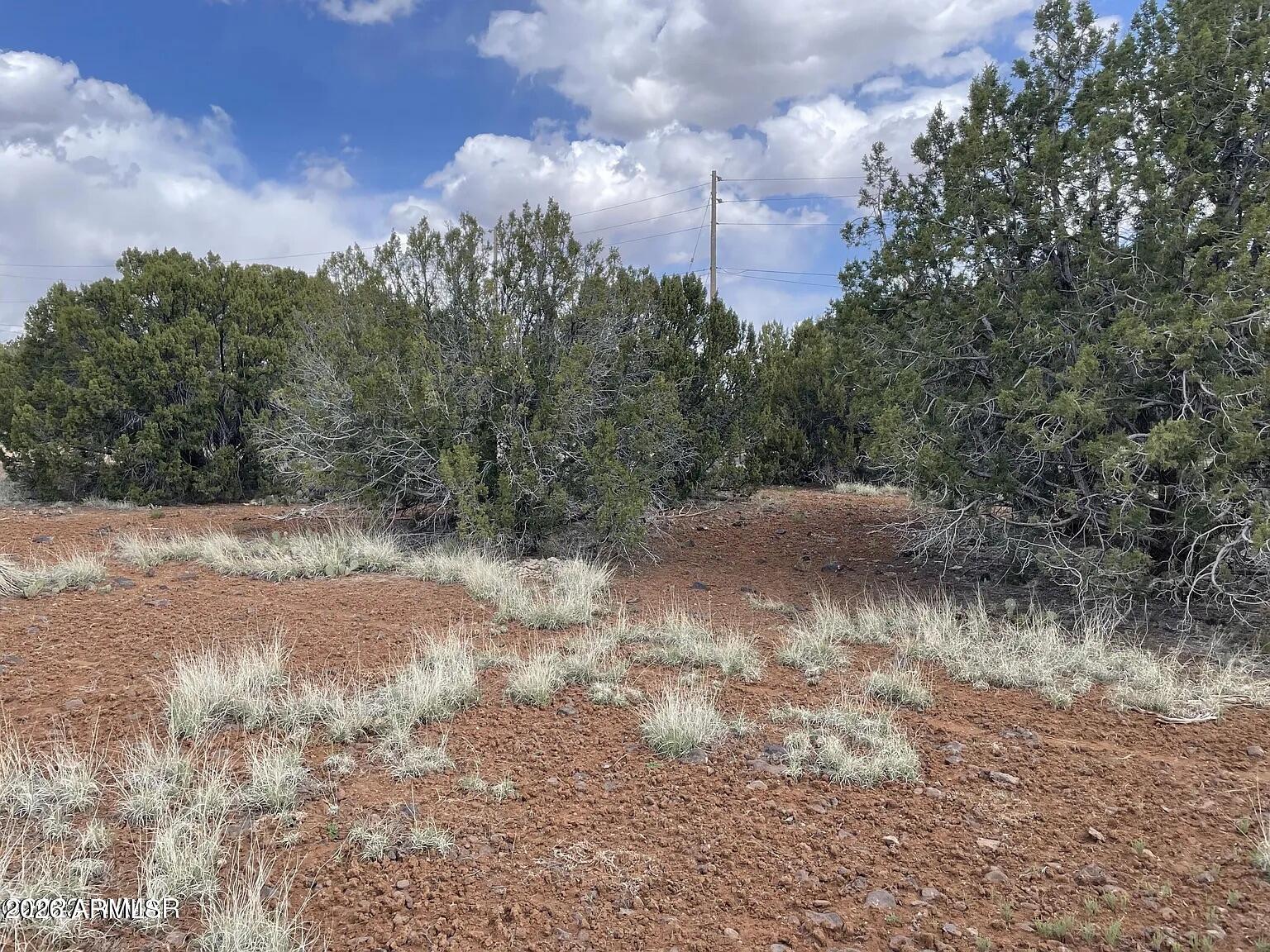 1879 TURKEY FLAT Place 17