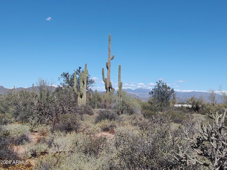 Beautiful 5 acres, consisting of 3 parcels. R-43 zoning. Mountain Views! Just steps away from Tonto National Forest. Enjoy hiking, biking, horse-riding or bring your power toys. Cooler temps, clear starry skies, wildlife and great country living. Only a short drive to premier golf courses and Scottsdale's excellent restaurants and shopping.