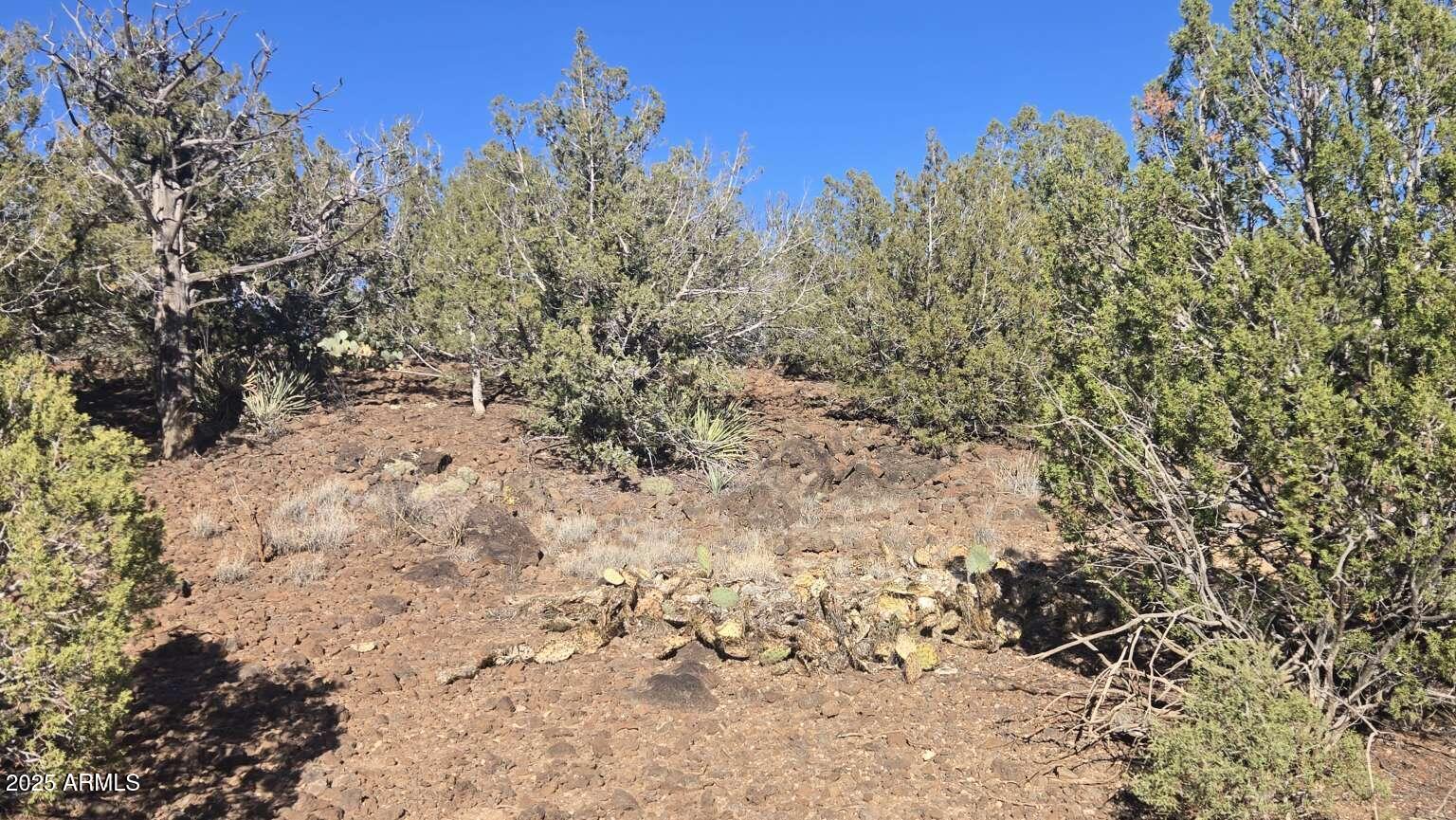 9938 W GLEED STATION Road 188