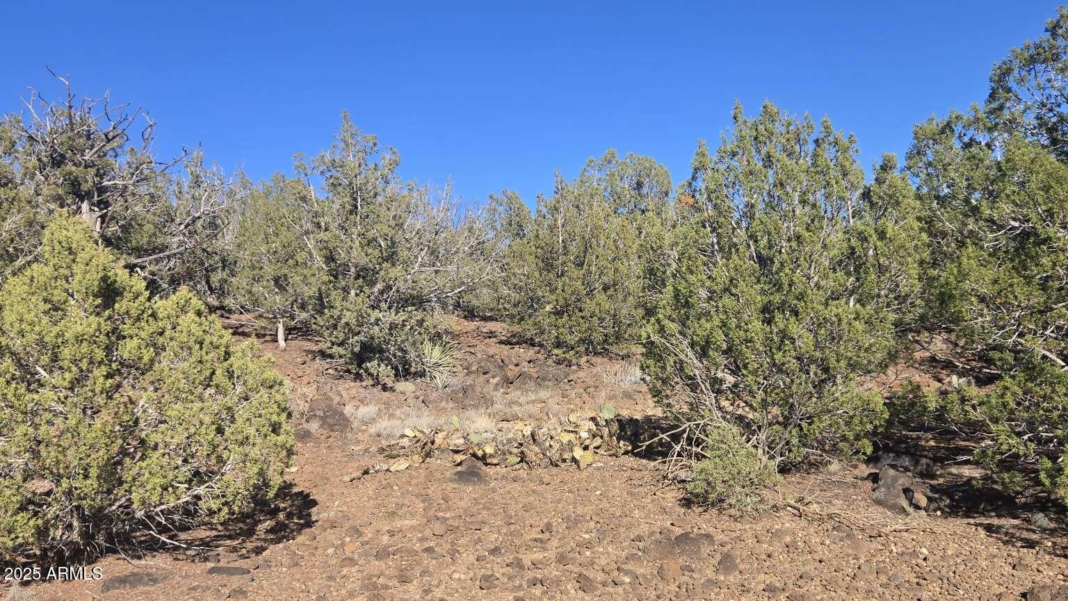 9938 W GLEED STATION Road 188