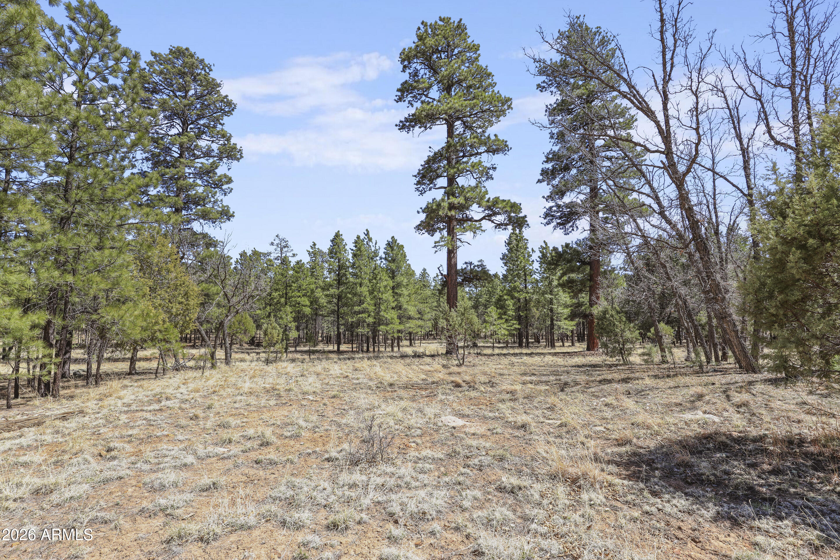 1755 SUGAR PINE Drive 232