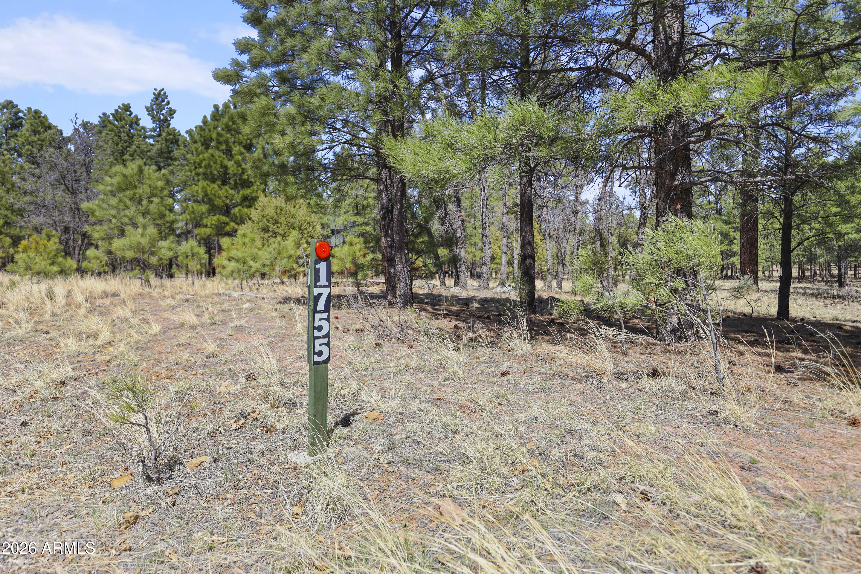 1755 SUGAR PINE Drive 232