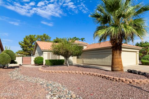24420 S BOXWOOD Drive Sun Lakes AZ 85248