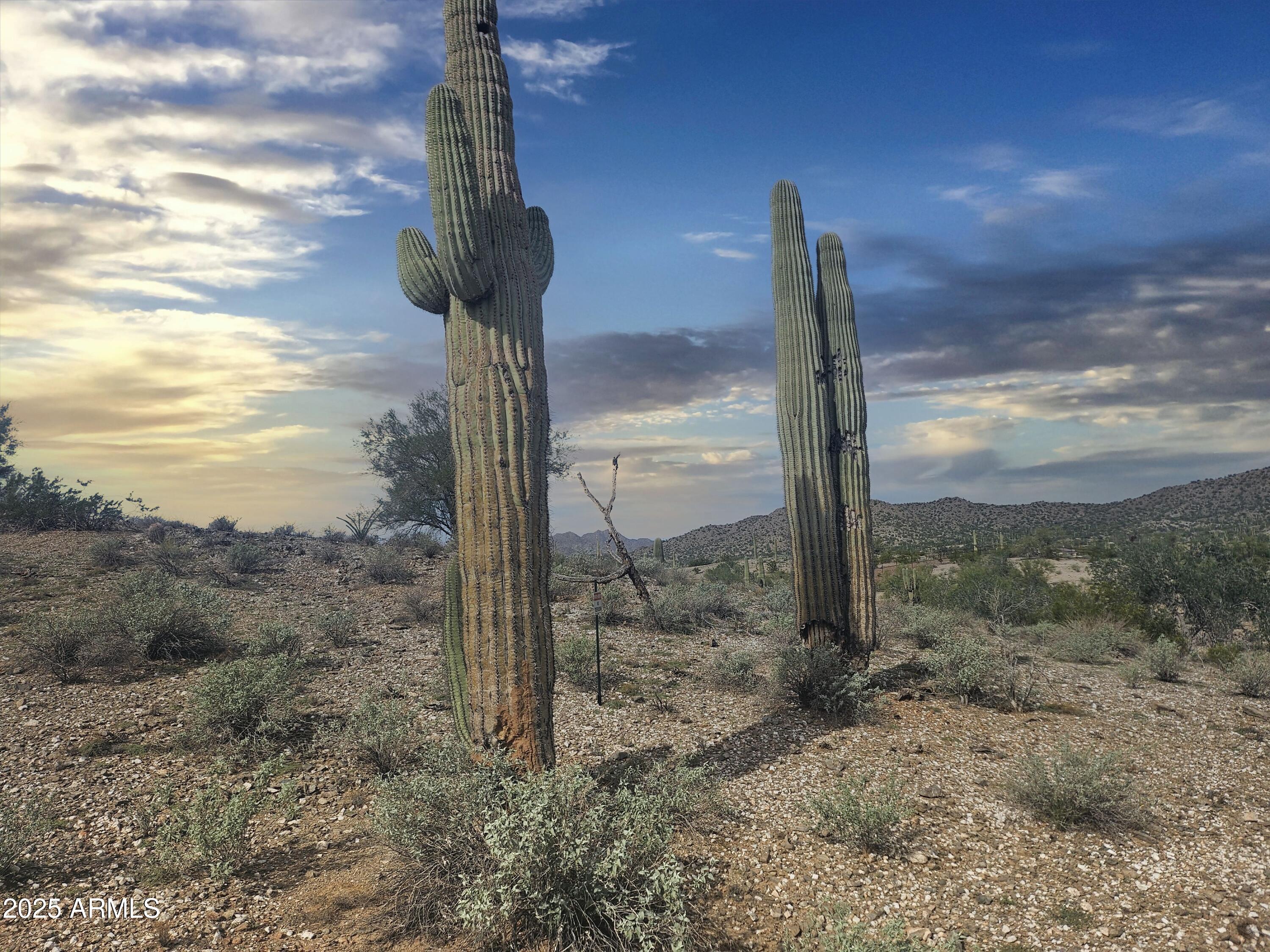 0 N Homestead Lane 16