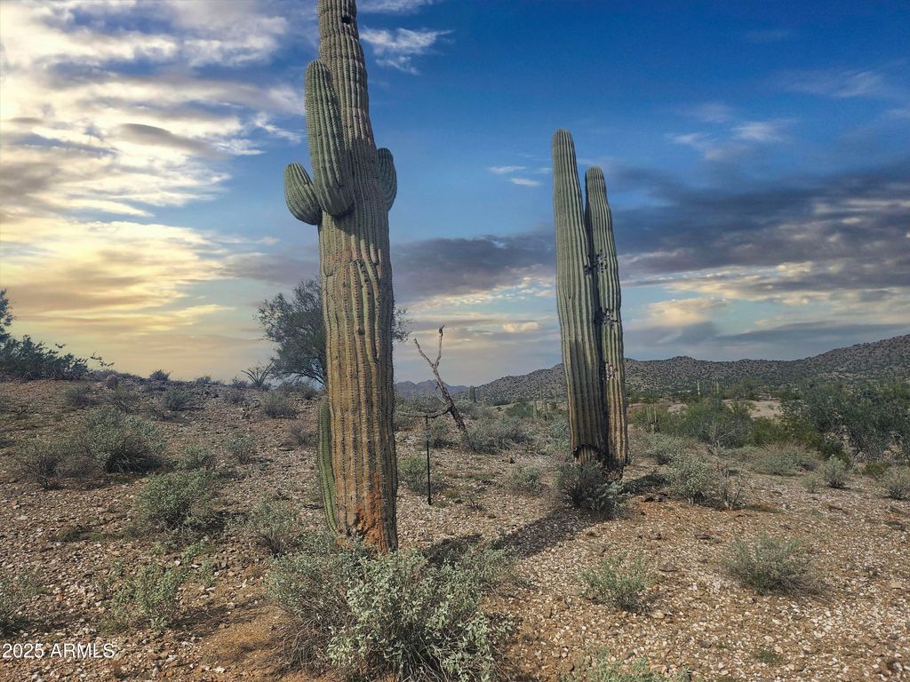 Photo of 0 N Homestead Lane #16, Queen Creek, AZ 85144 (MLS # 6941882)