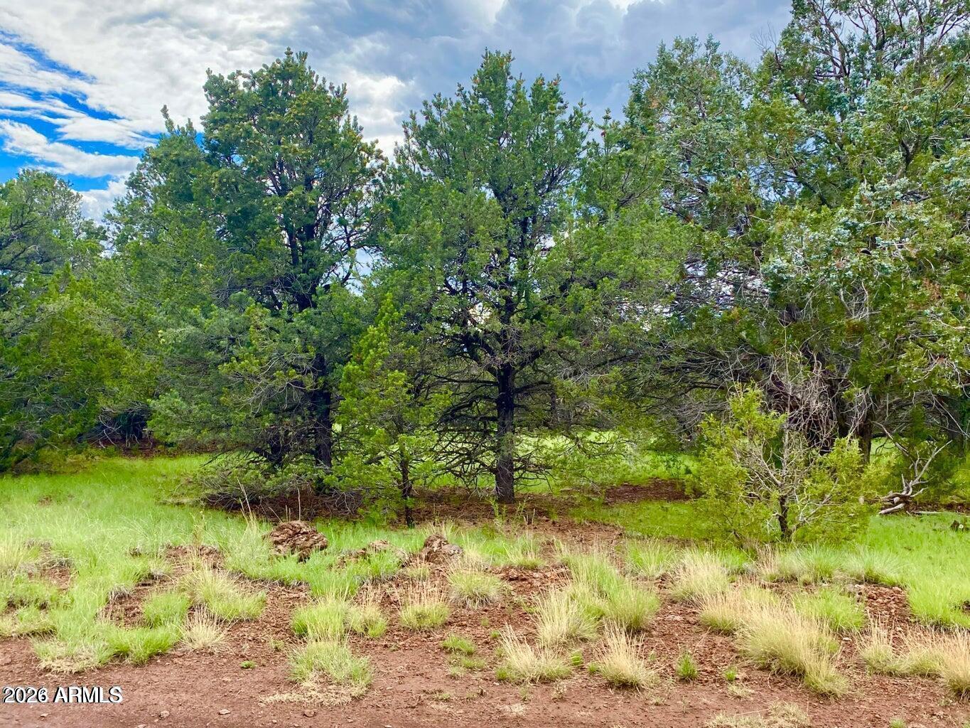 6508 N PINON HARVEST Boulevard 465