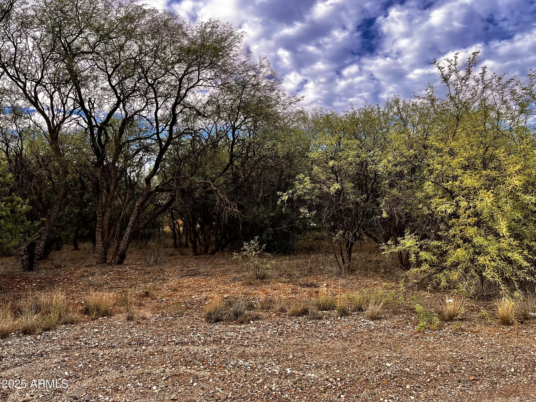 5360 N BARBARA Lane 632