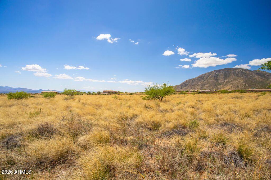 WILD HORSE 2 - Land