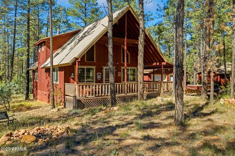 2890 WILDCAT Trail Overgaard AZ 85933