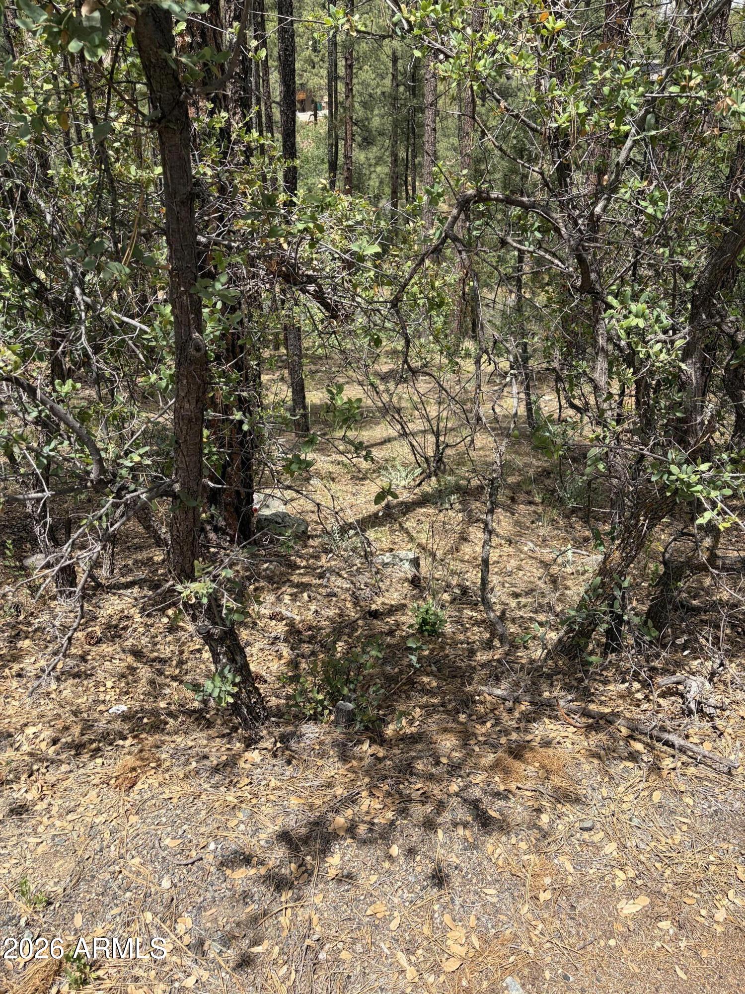 HASSAYAMPA MTN CLUB PLAT F BLK F - Land