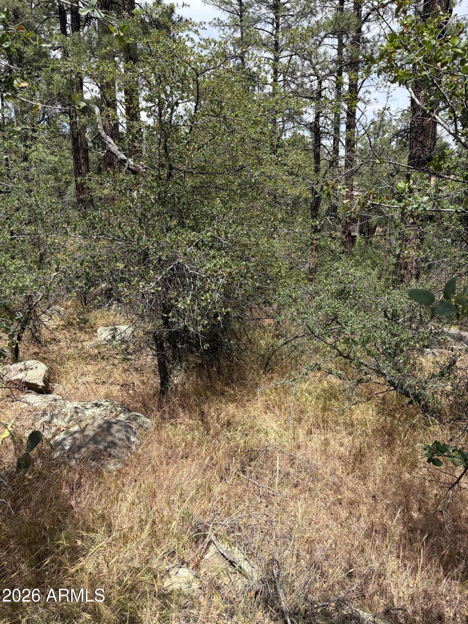 HASSAYAMPA MTN CLUB PLAT F BLK F - Land