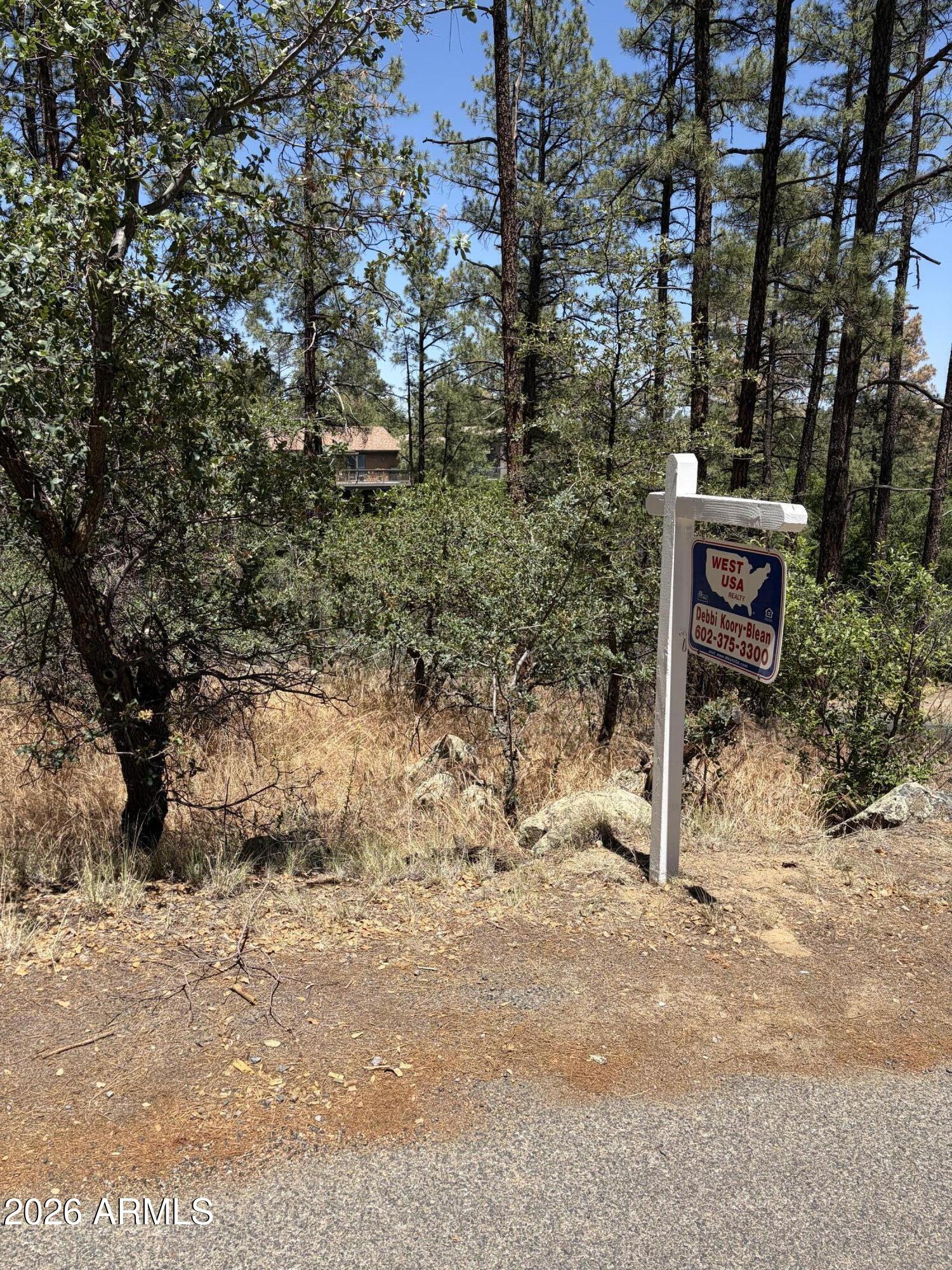 HASSAYAMPA MTN CLUB PLAT F BLK F - Land