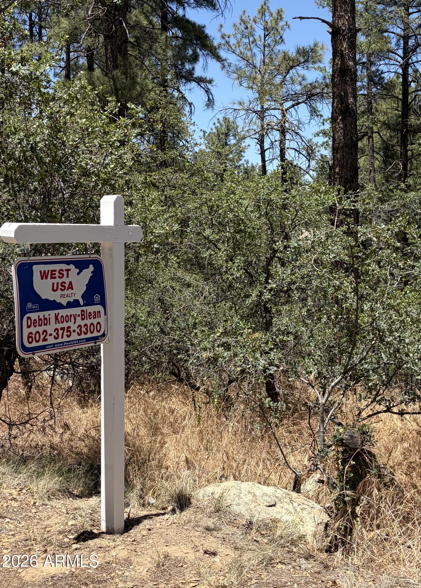 HASSAYAMPA MTN CLUB PLAT F BLK F - Land