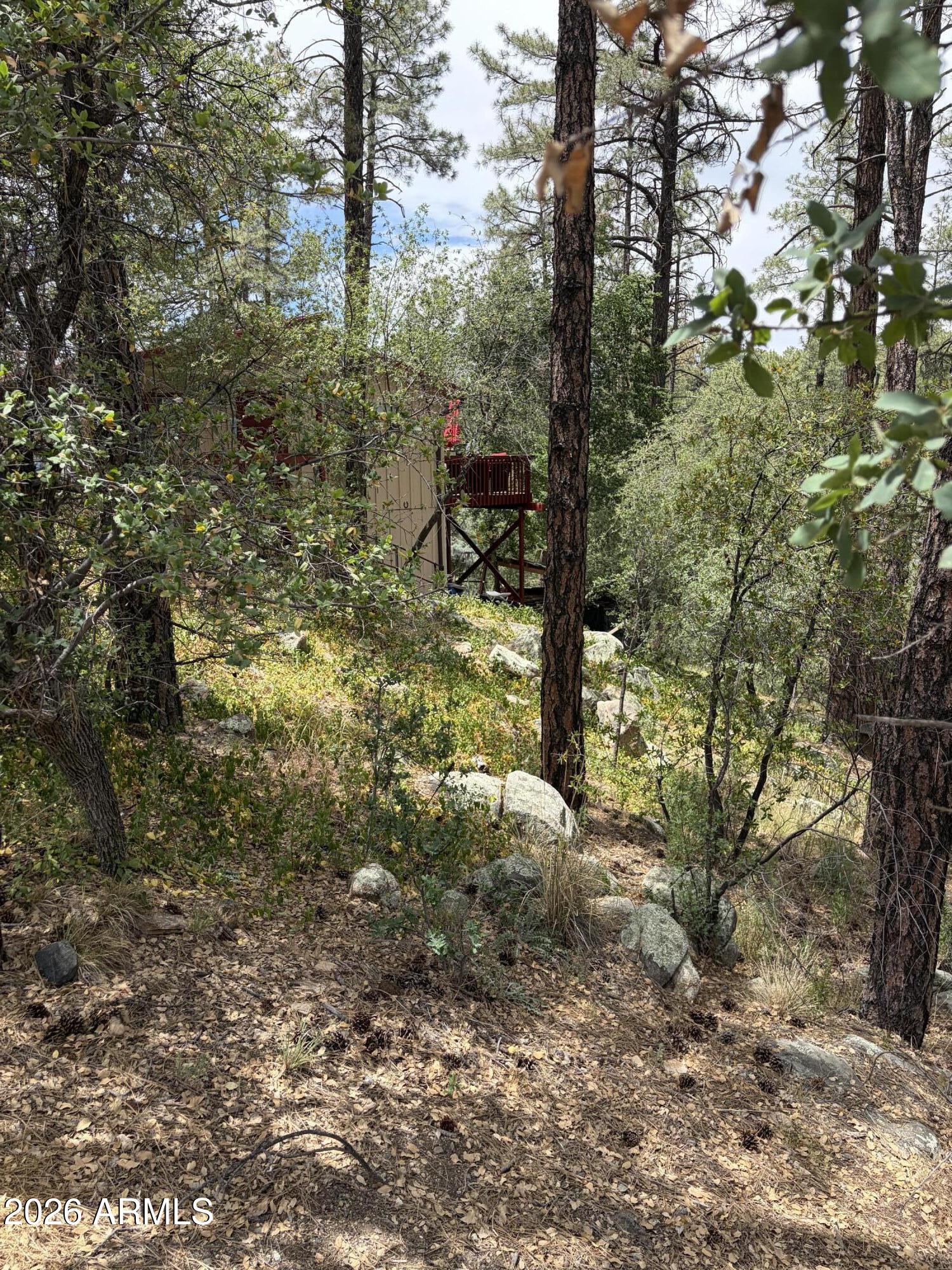 HASSAYAMPA MTN CLUB PLAT F BLK F - Land