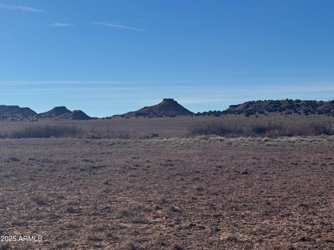 Lot 15 Woodland Valley Ranch -- 15 St Johns AZ 85936