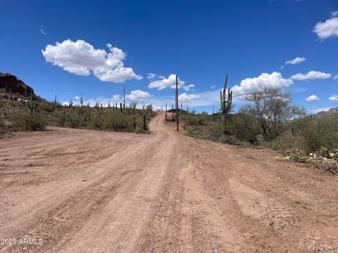 3605 N Zebra Trail N Queen Valley AZ 85118