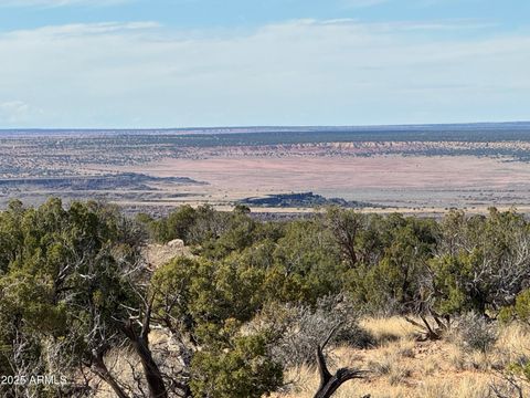 Lot 62 Sierra Highlands Ranch -- 62 St Johns AZ 85936