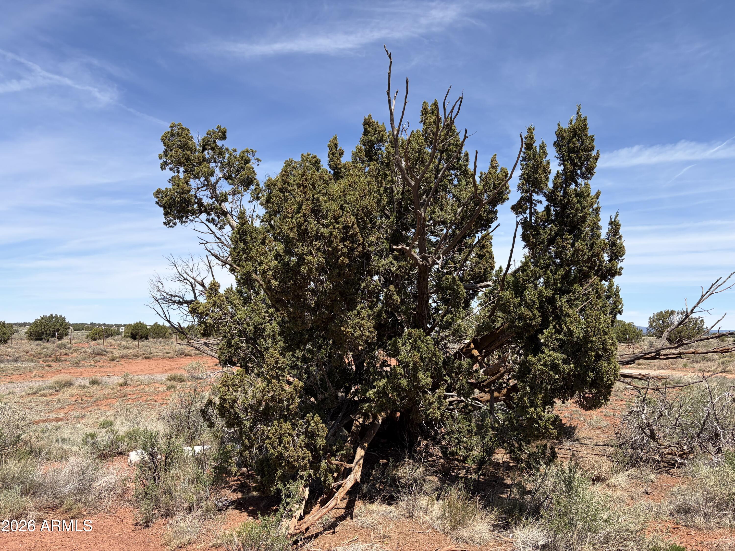 GRAND CANYON 3 - Land
