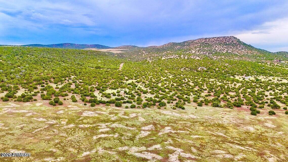 Dutch Mountain - Land