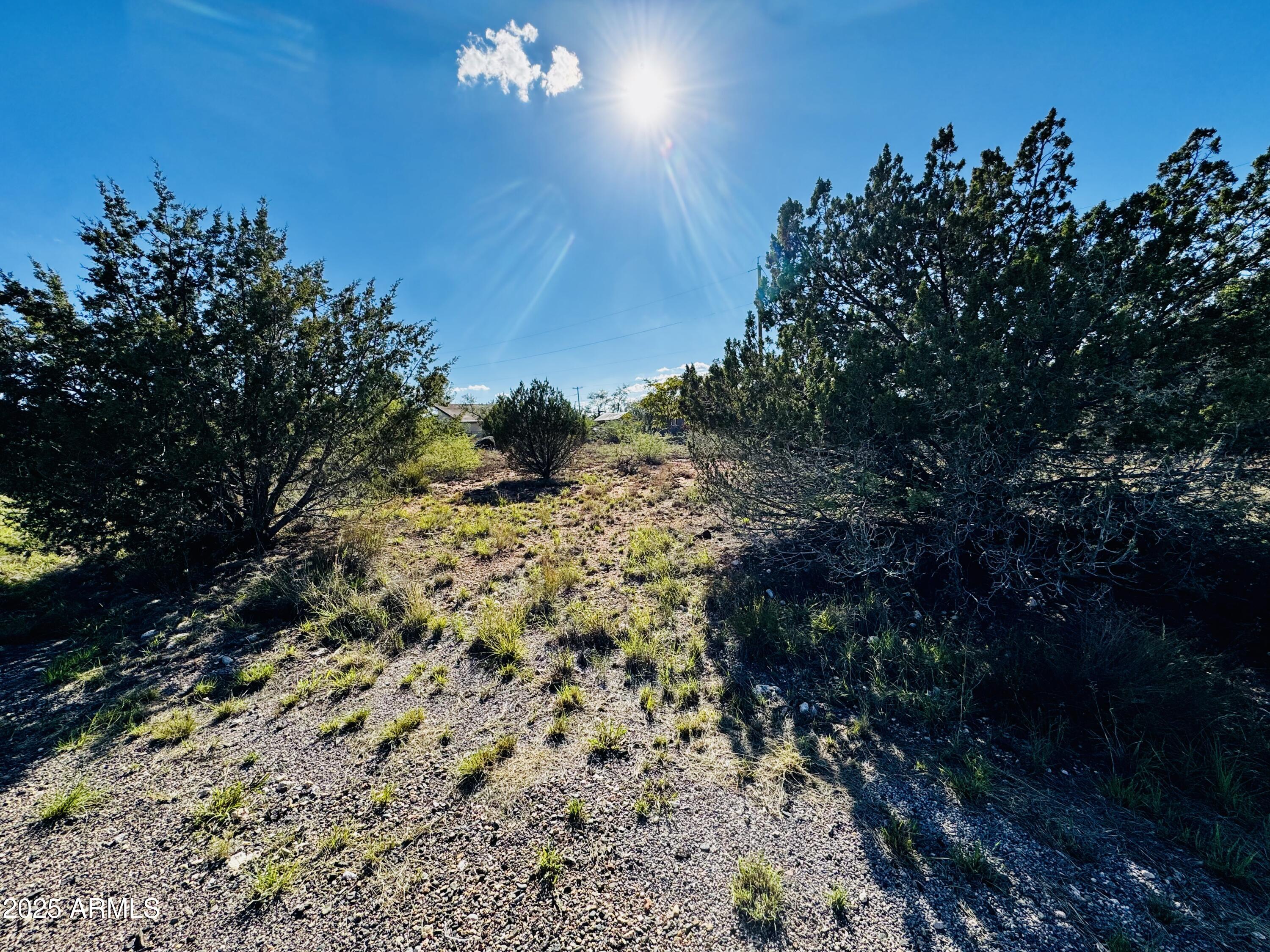 WICKIUP MESA UNIT 2 - Land