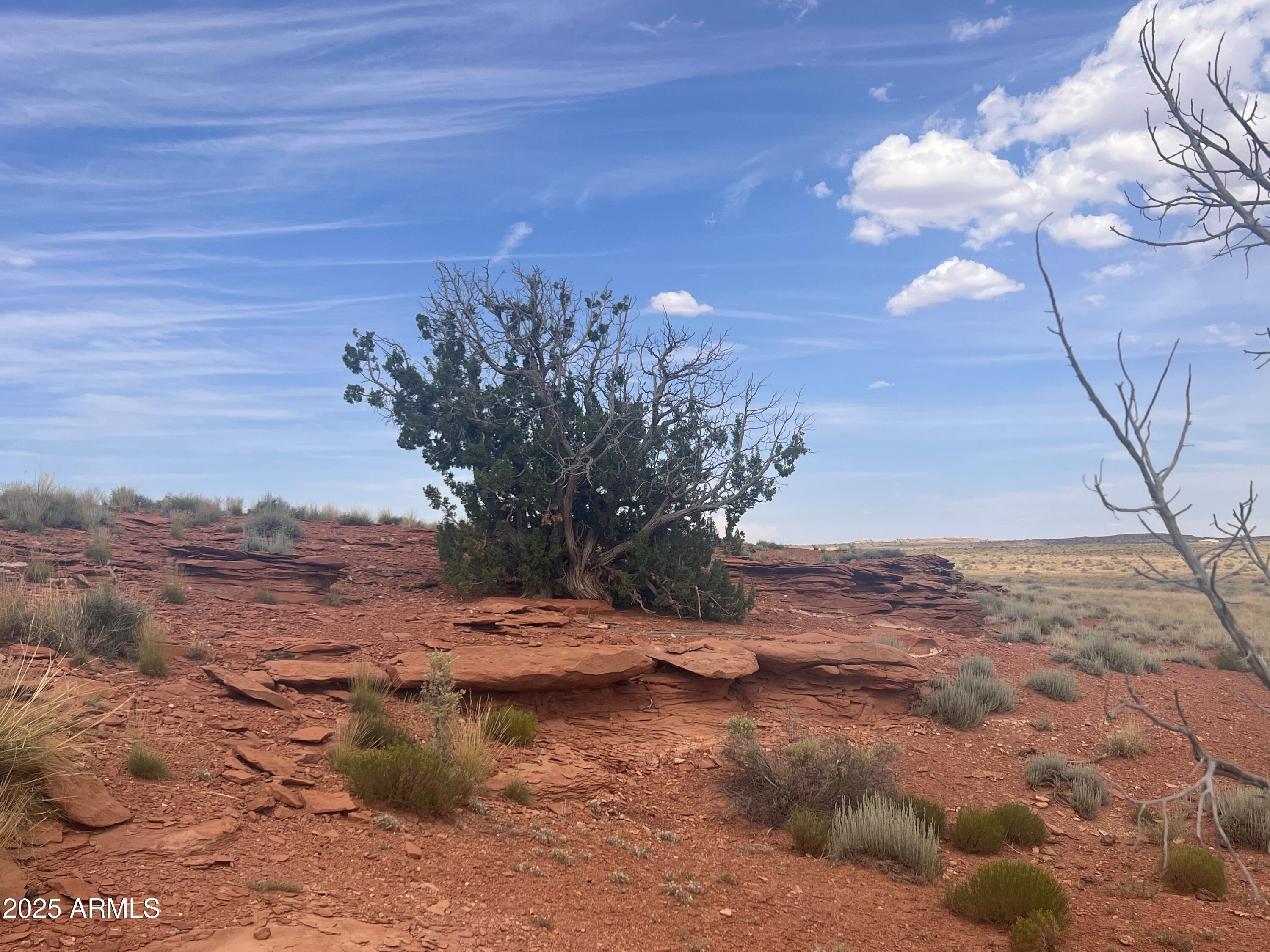 6260 SNOWFLAKE-WOODRUFF Road 0