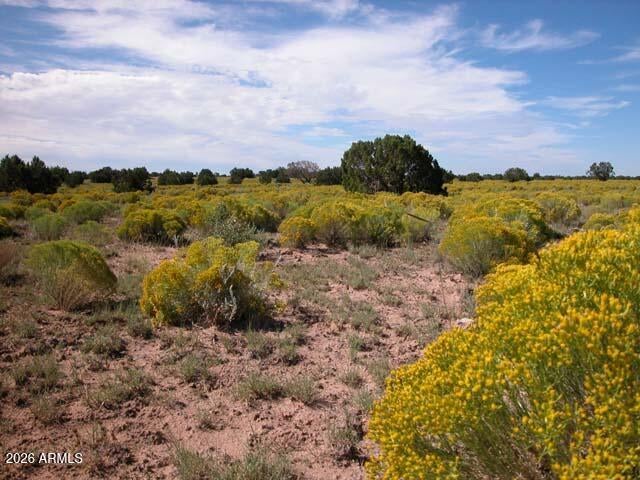 206-10-409 Bar Nothing Ranch Road -