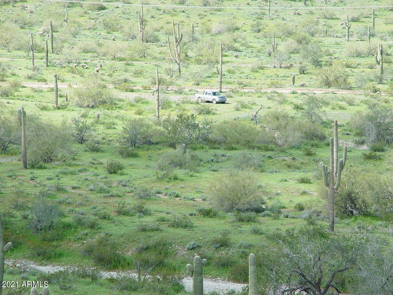 54214 W WHIRLY BIRD Road 32